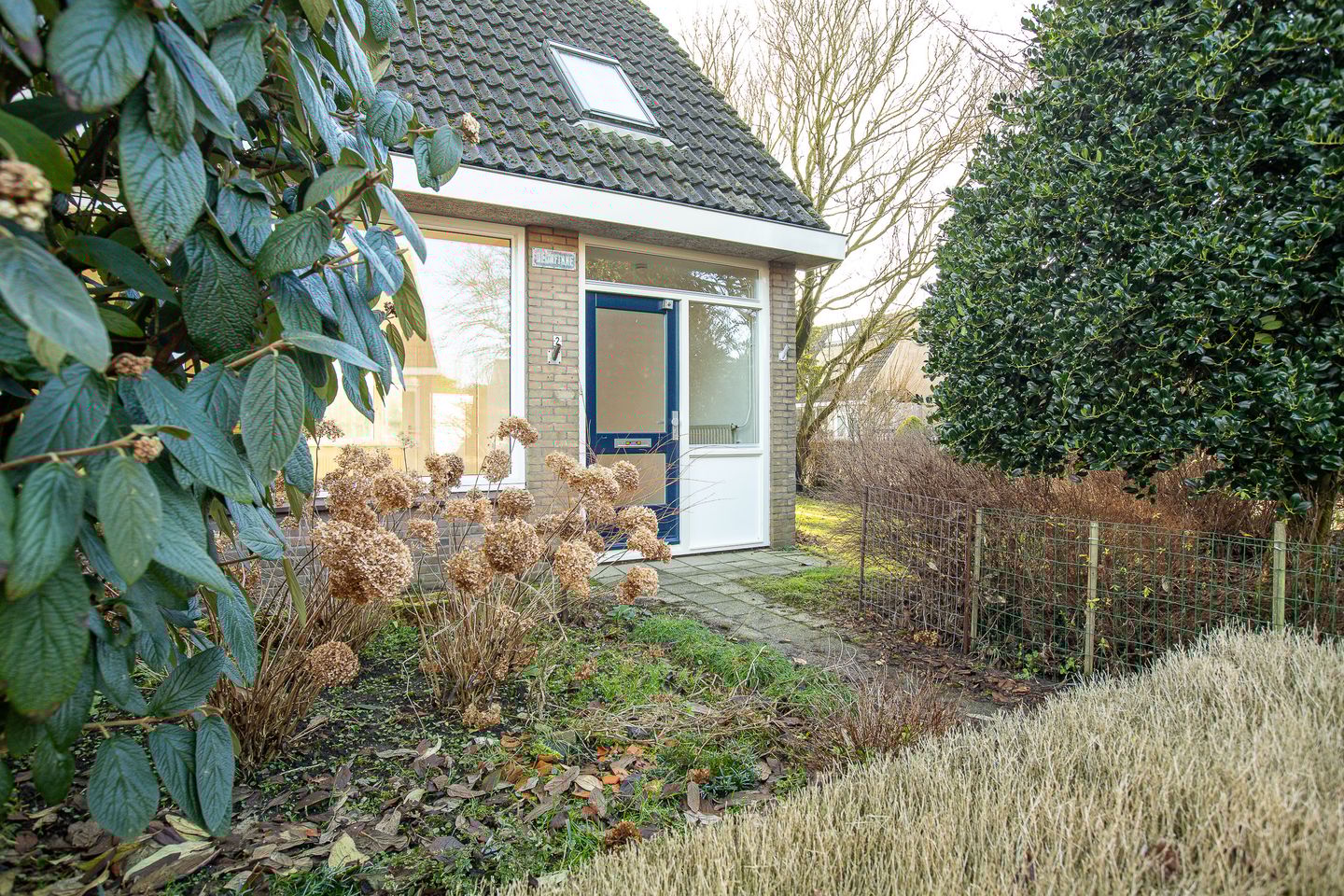 Foto 4 van Blomfinne 2