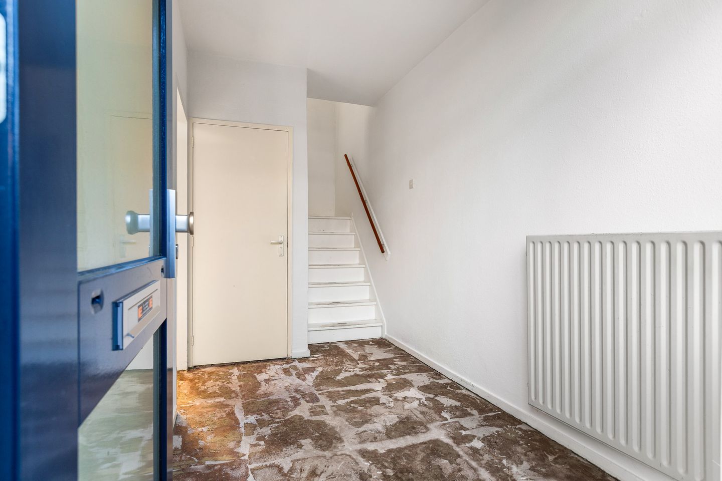 Foto 5 van Blomfinne 2