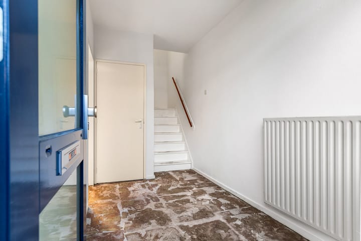 Foto 5 van Blomfinne 2