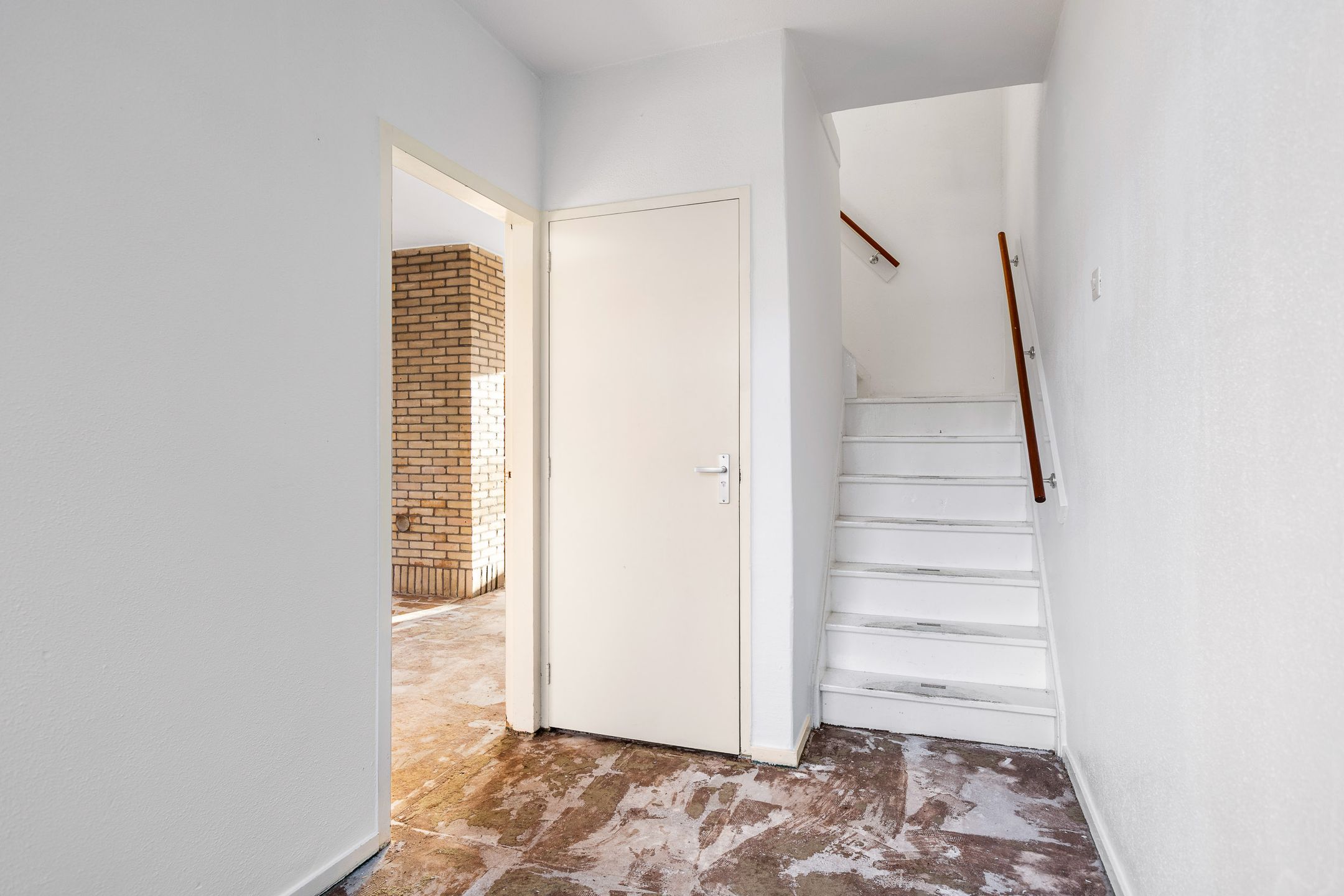 Foto 6 van Blomfinne 2