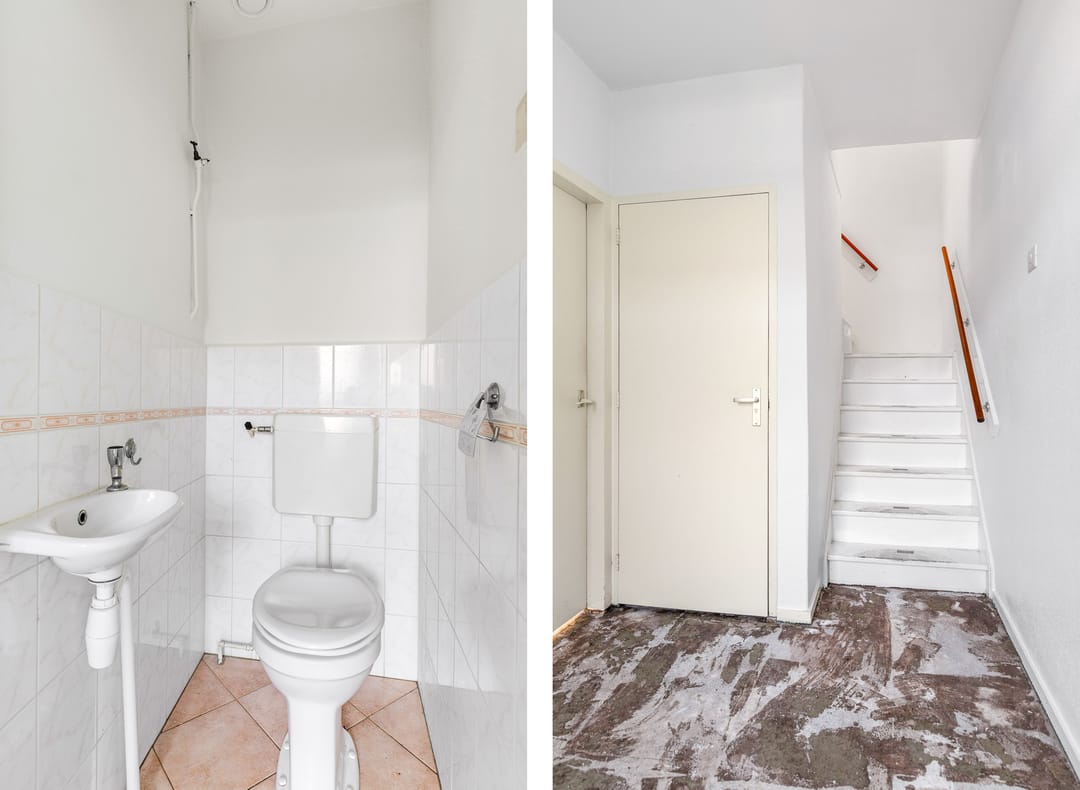 Foto 7 van Blomfinne 2