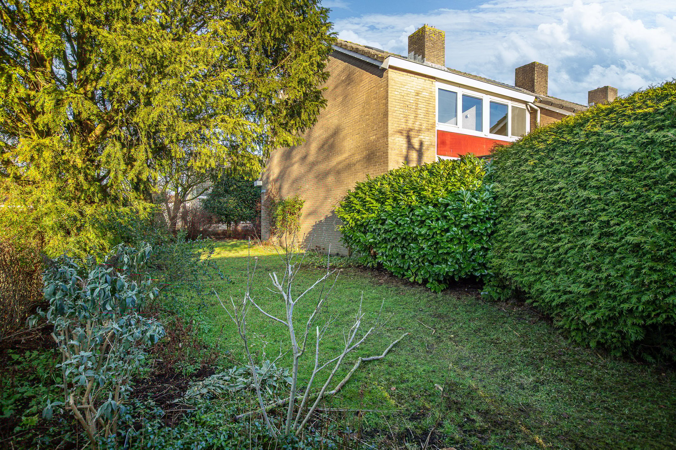 Foto 15 van Blomfinne 2