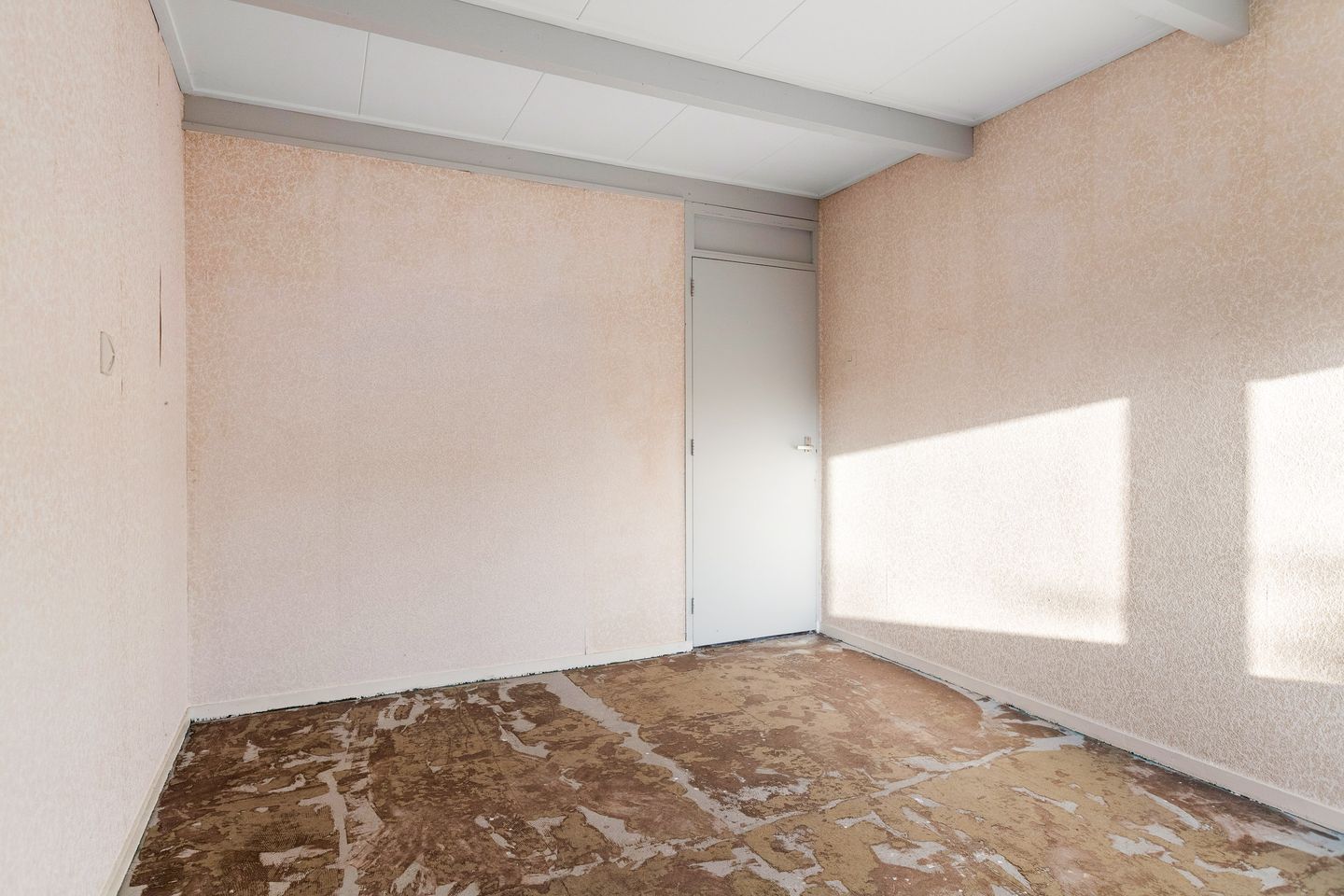 Foto 19 van Blomfinne 2