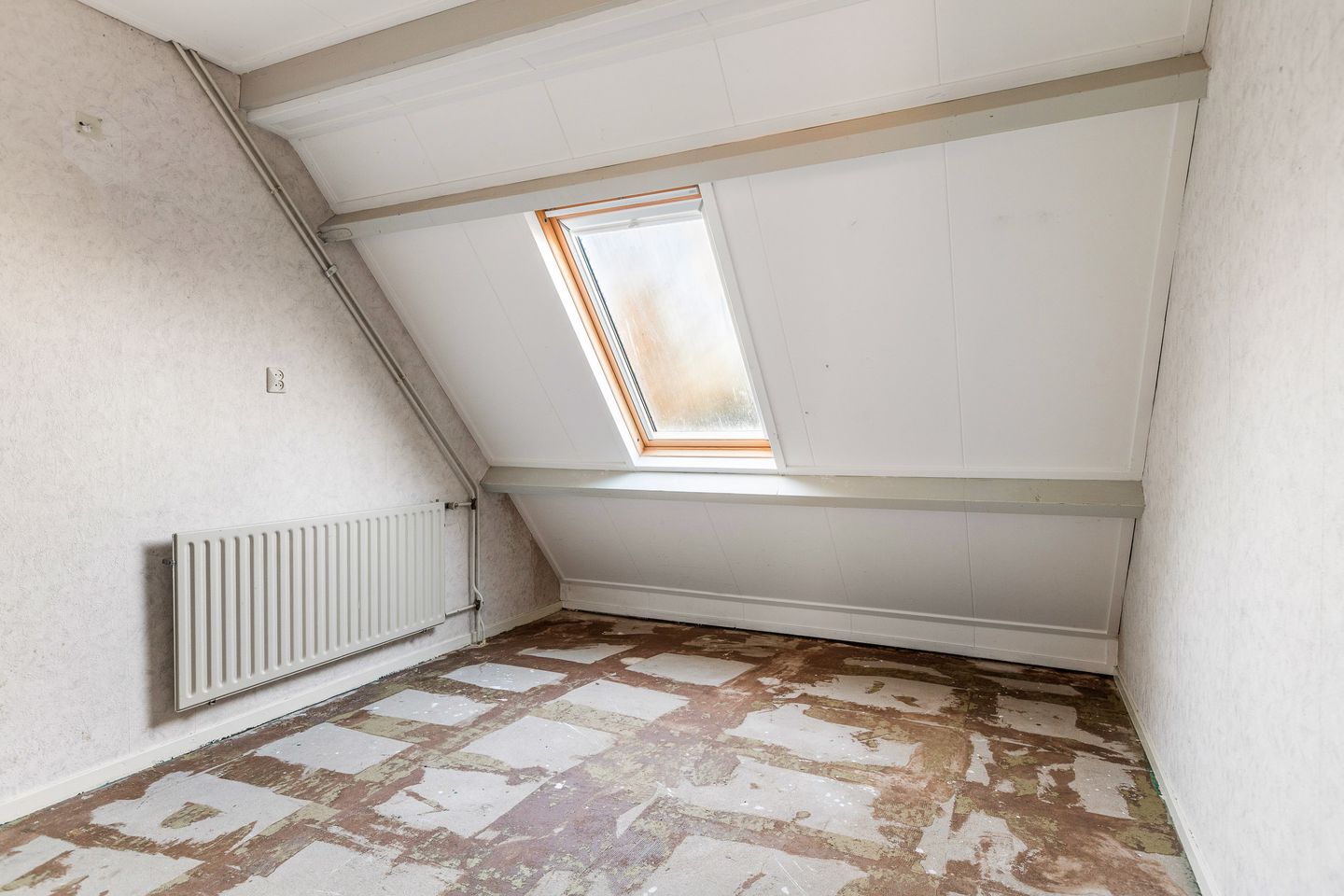 Foto 20 van Blomfinne 2