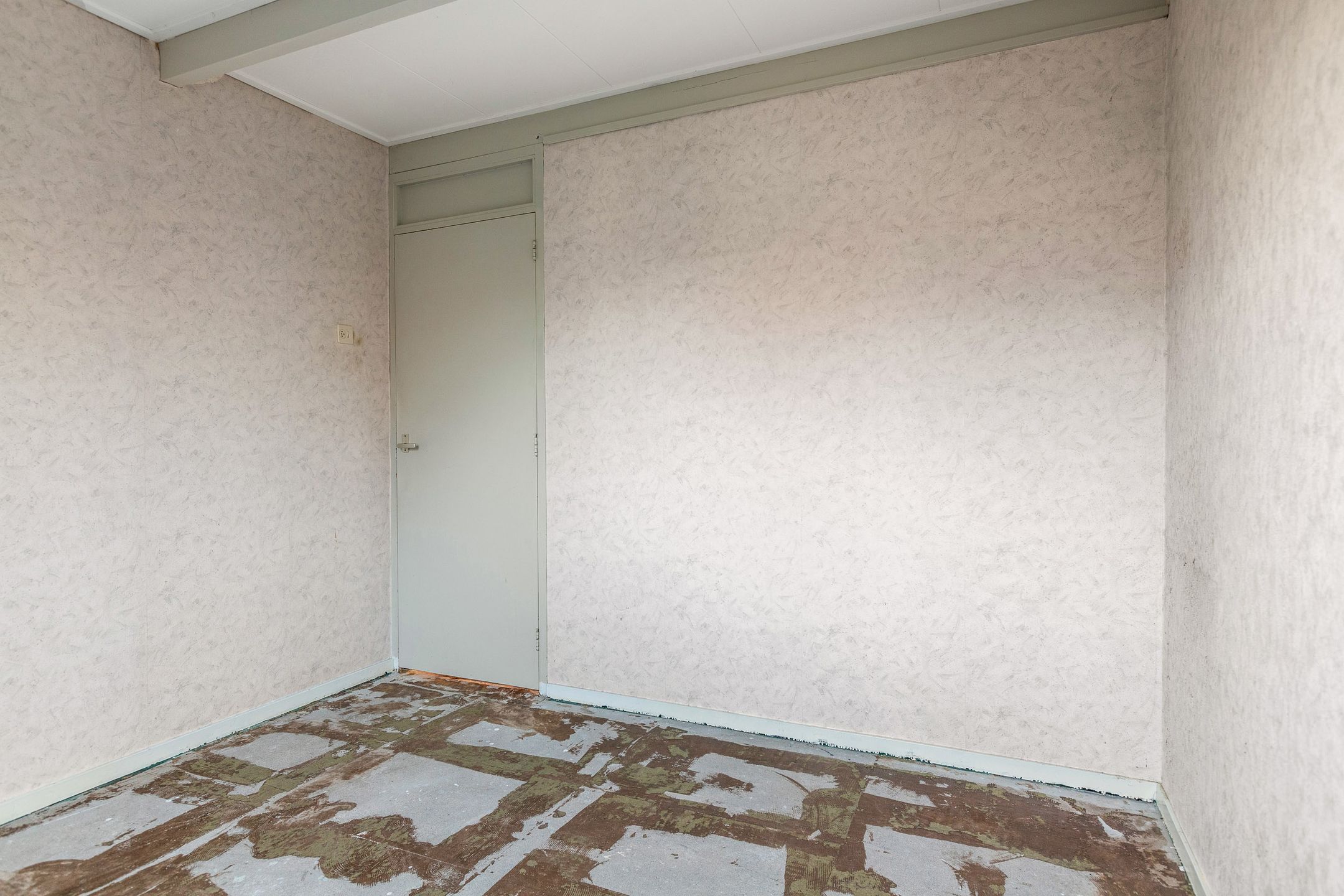 Foto 21 van Blomfinne 2