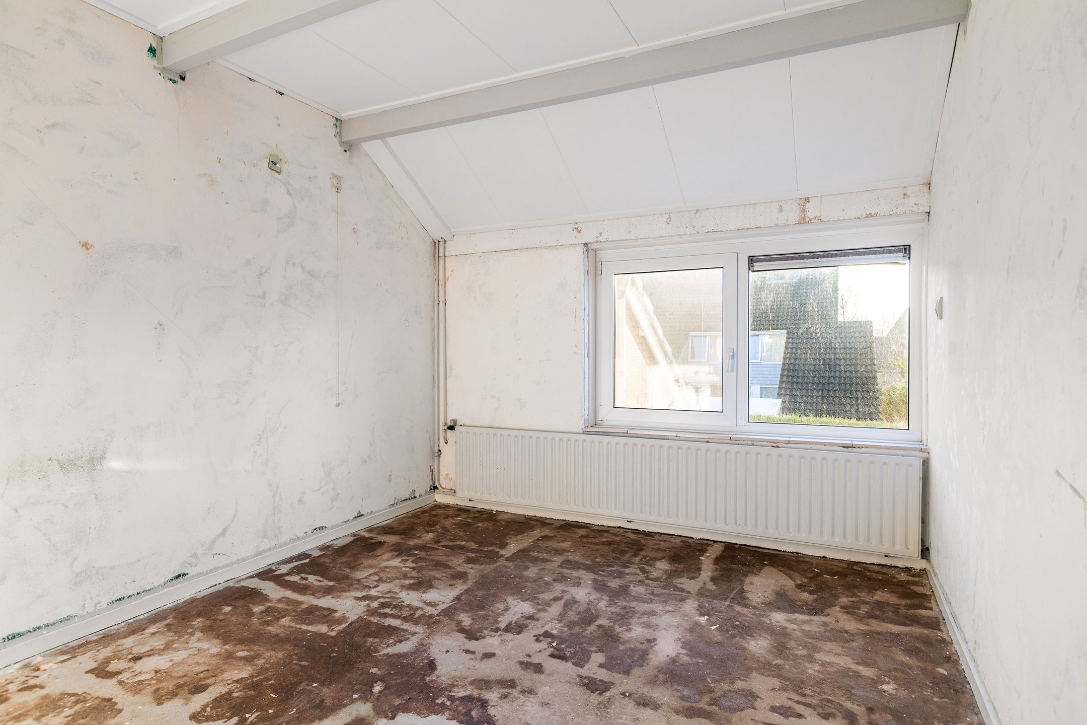 Foto 24 van Blomfinne 2