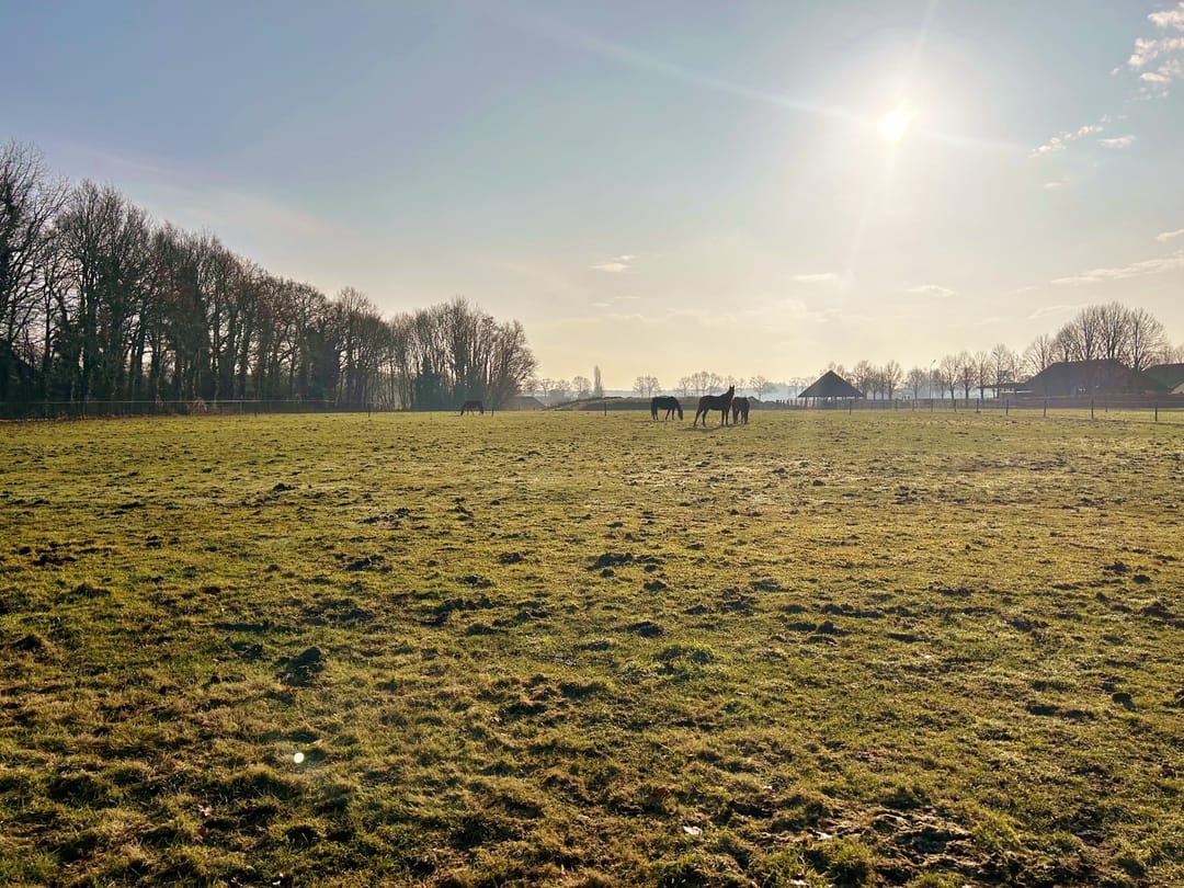 Foto 23 van Zuiderzeestraatweg 395