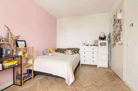 Hoopende Swaen 4 tertiary image