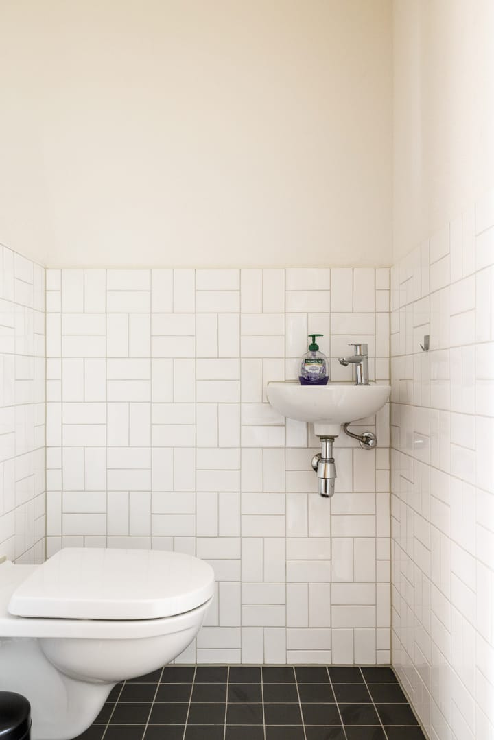 Foto 23 van Hoopende Swaen 4