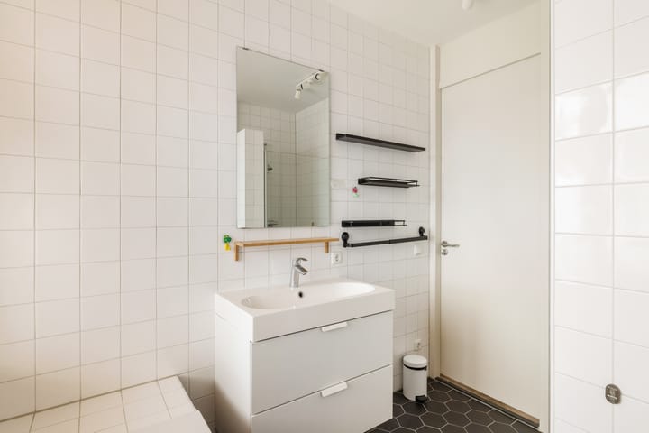 Foto 36 van Hoopende Swaen 4