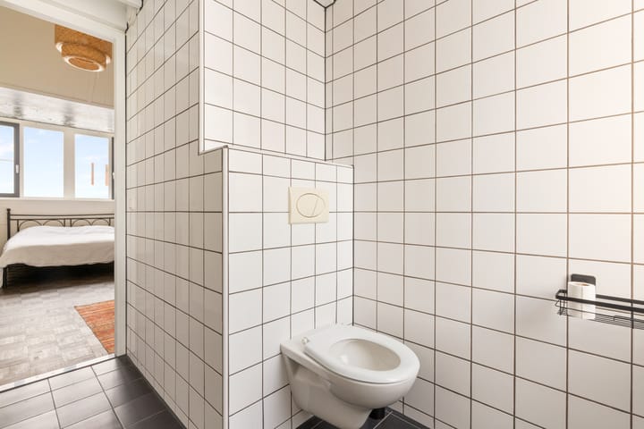 Foto 43 van Hoopende Swaen 4