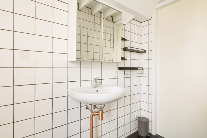 Foto 44 van Hoopende Swaen 4