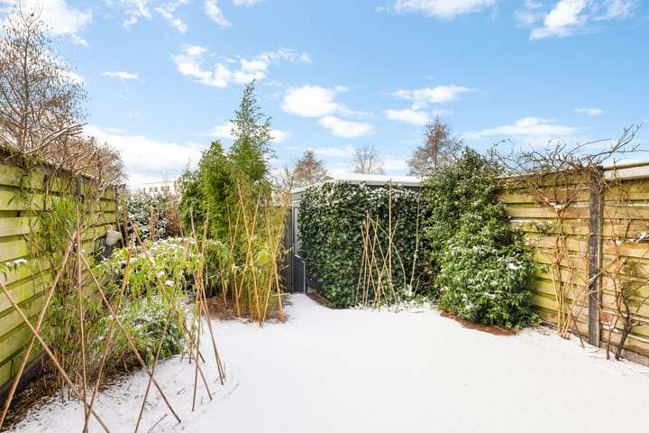 Foto 45 van Hoopende Swaen 4