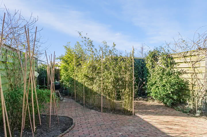 Foto 52 van Hoopende Swaen 4