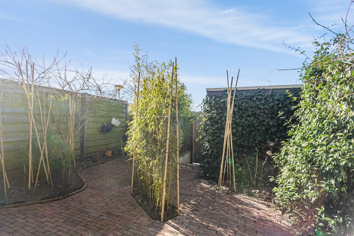 Foto 53 van Hoopende Swaen 4