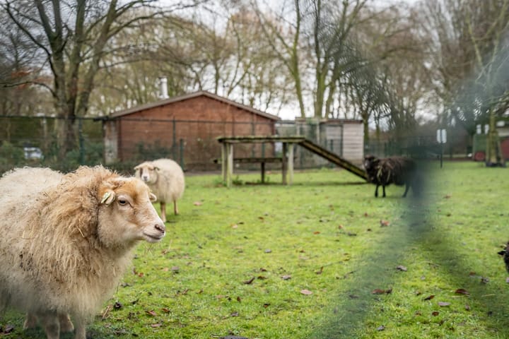 Foto 45 van Citadel 19