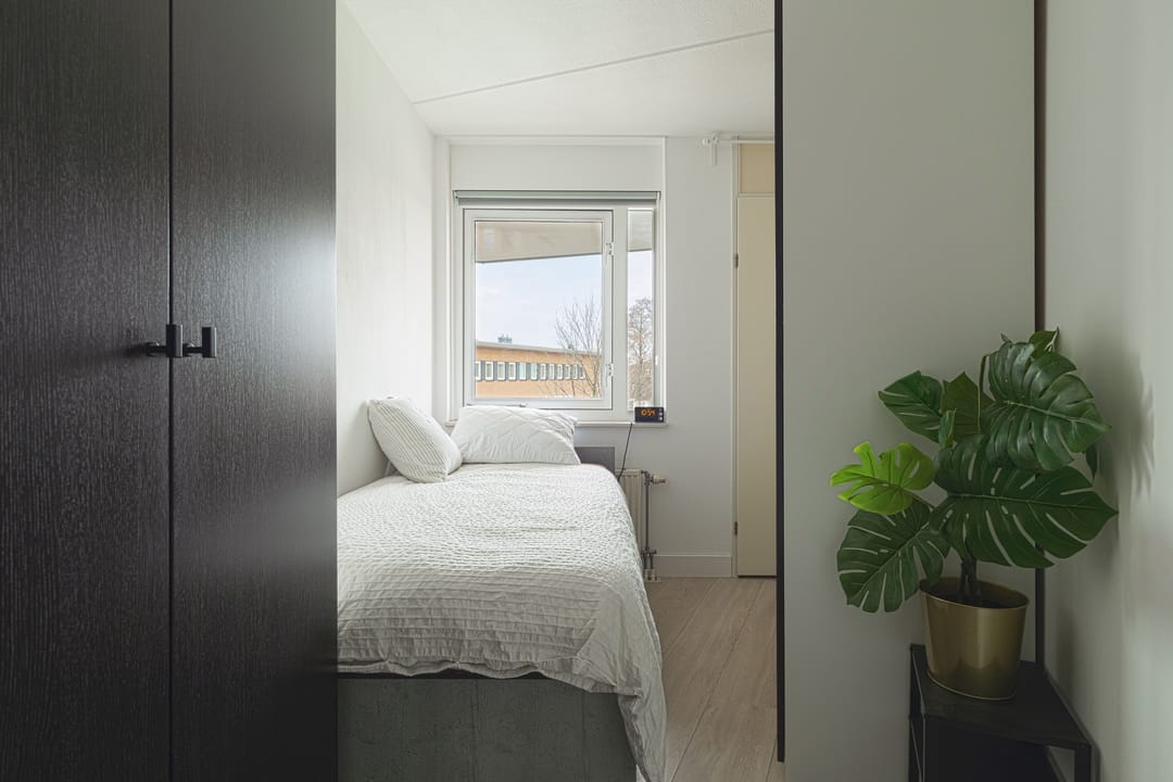 Photo 28 of Essenwede 19