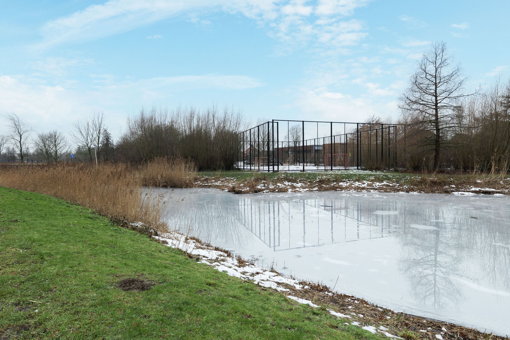 Photo 33 of Essenwede 19