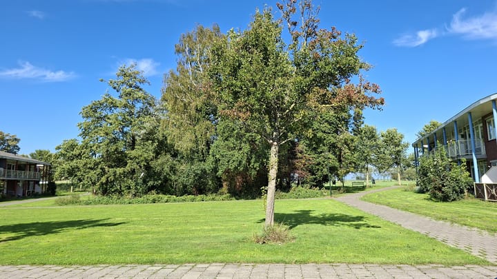 Photo 33 of Noorderstraat 67