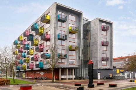 undefined main image