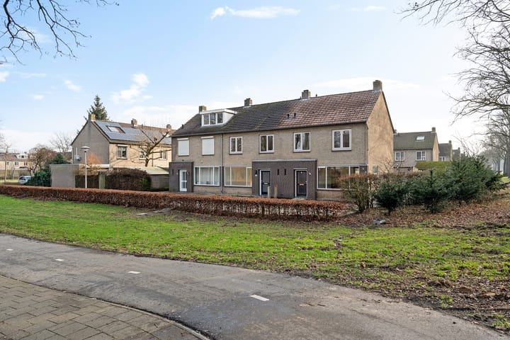 Foto 25 van De Meesterstraat 3