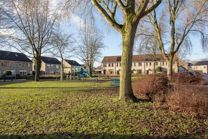 Foto 4 van Wintergroen 13