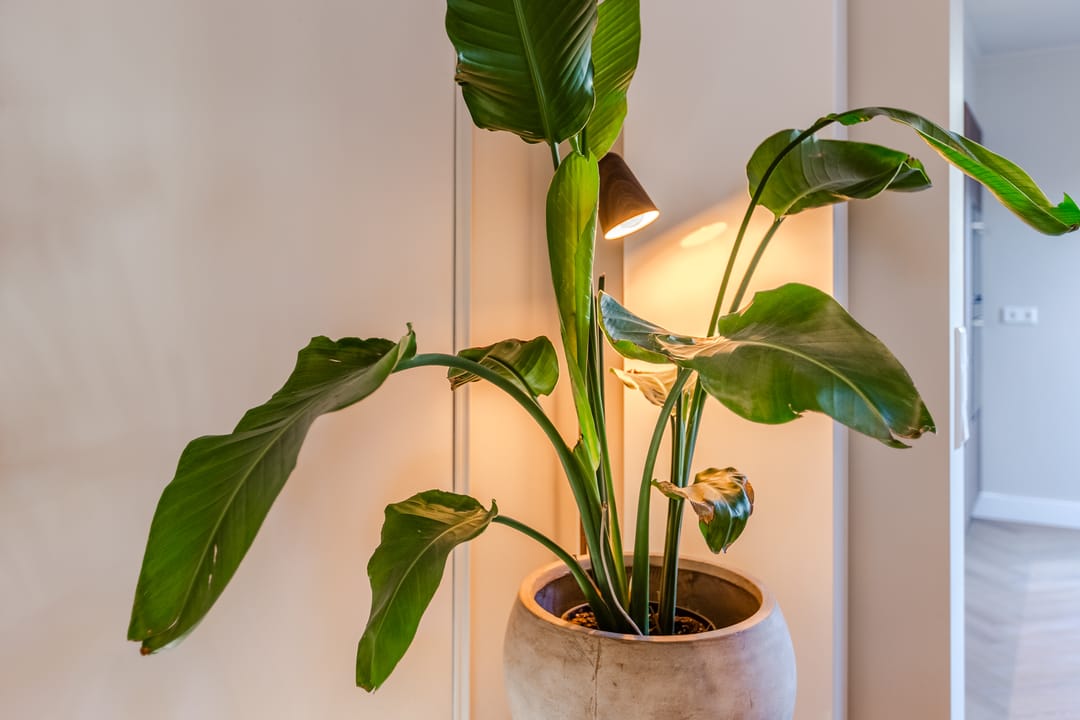 Photo 22 of Arendsweg 127