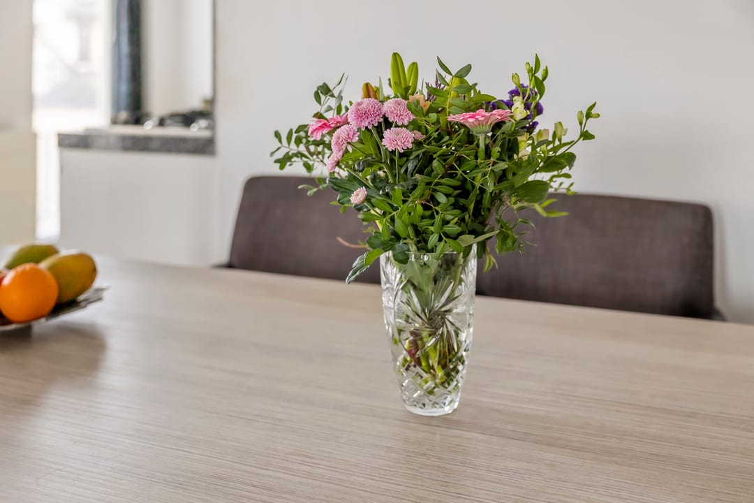 Foto 7 van Zwaanswal 1