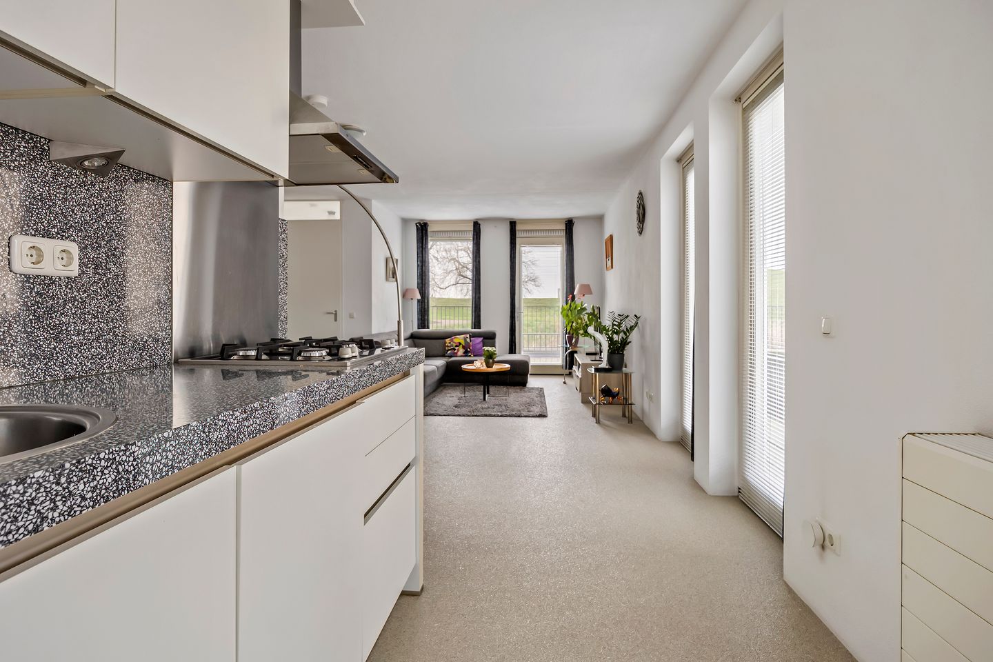 Foto 10 van Zwaanswal 1