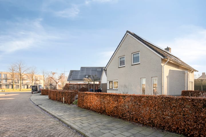 Foto 61 van de Egge 42