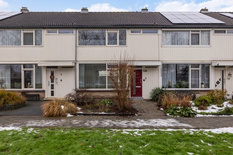 undefined main image