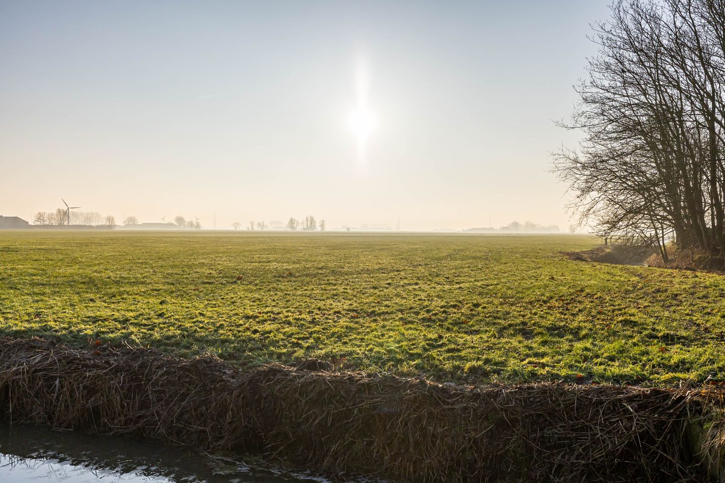 Photo 44 of De Schans 4