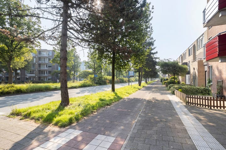 Foto 24 van Boeier 34