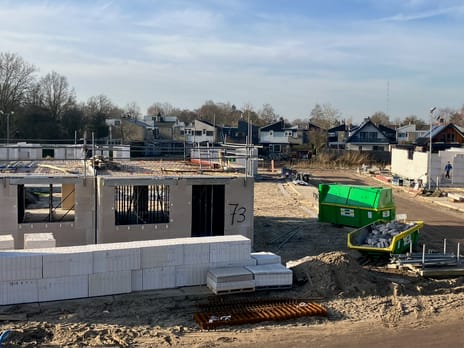 Holstein-Friesian 19 secondary image