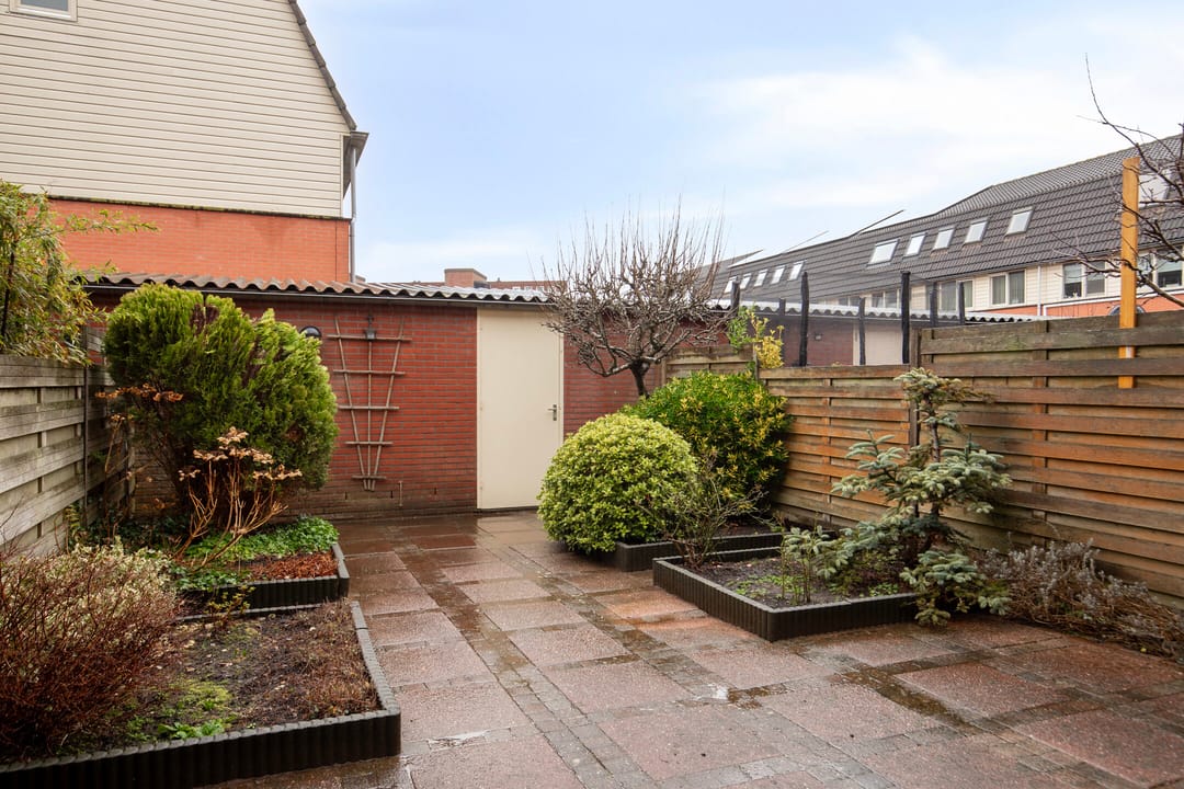 Foto 11 van Bodohout 63