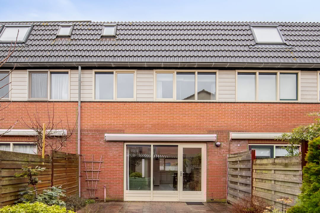 Foto 1 van Bodohout 63