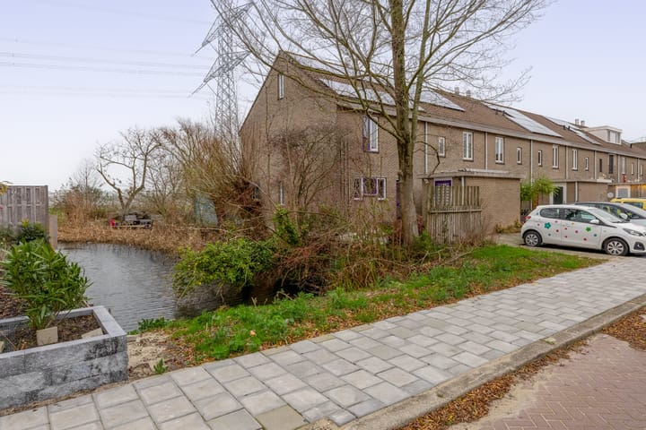 Foto 52 van Filosofentuin 50