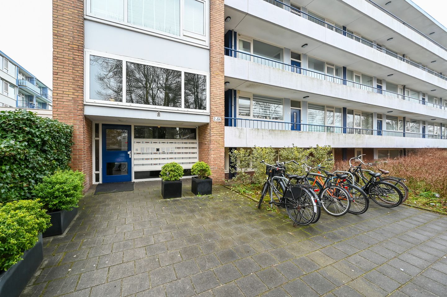 Foto 25 van Henry Hagalaan 50