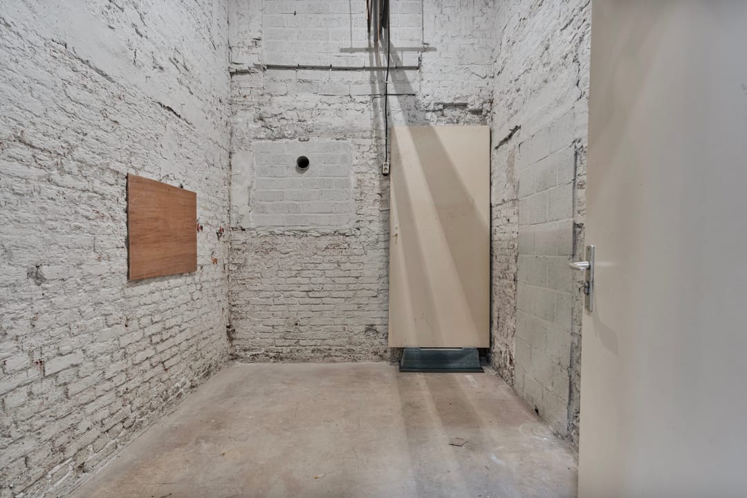 Foto 22 van Professor Pieter Willemsstraat 18-A