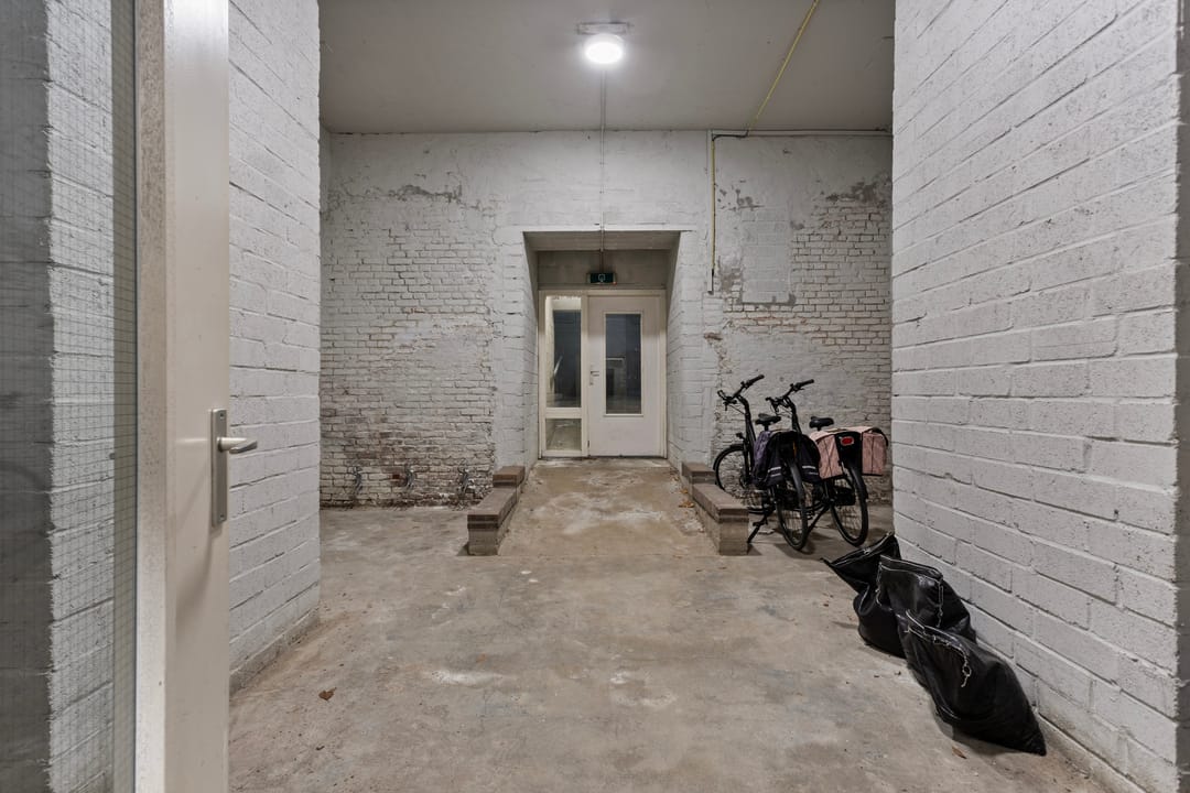 Foto 23 van Professor Pieter Willemsstraat 18-A