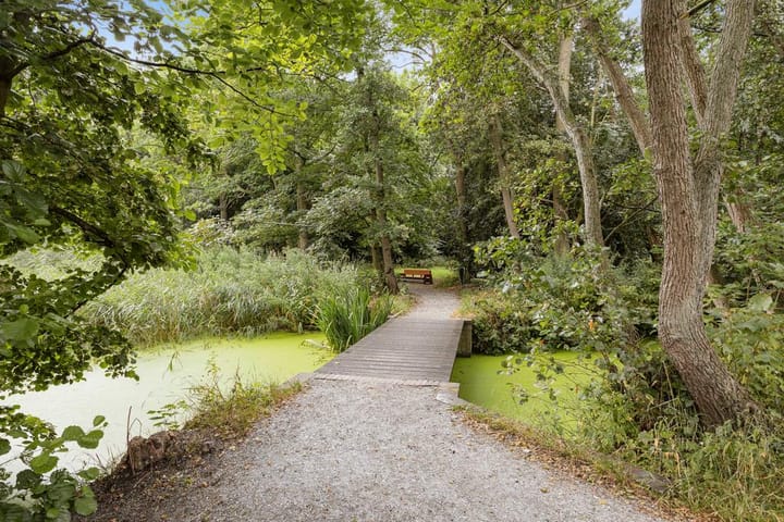 Foto 52 van Van Ledenberchstraat 8