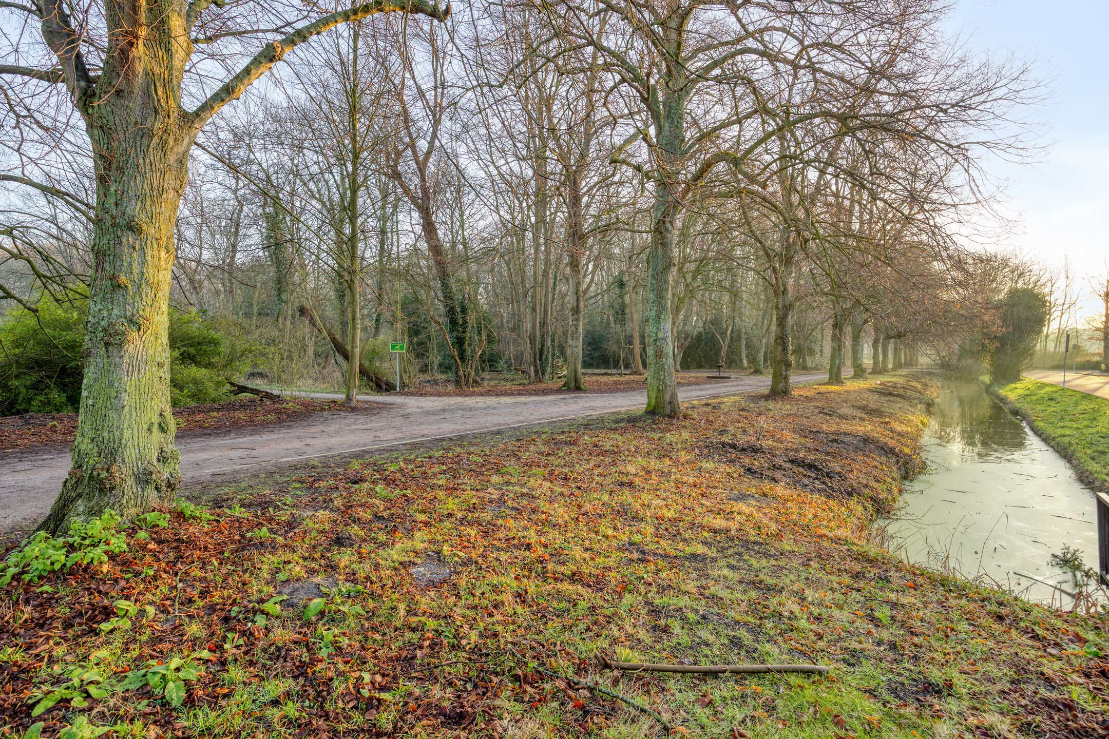 Photo 42 of Van Ledenberchstraat 8