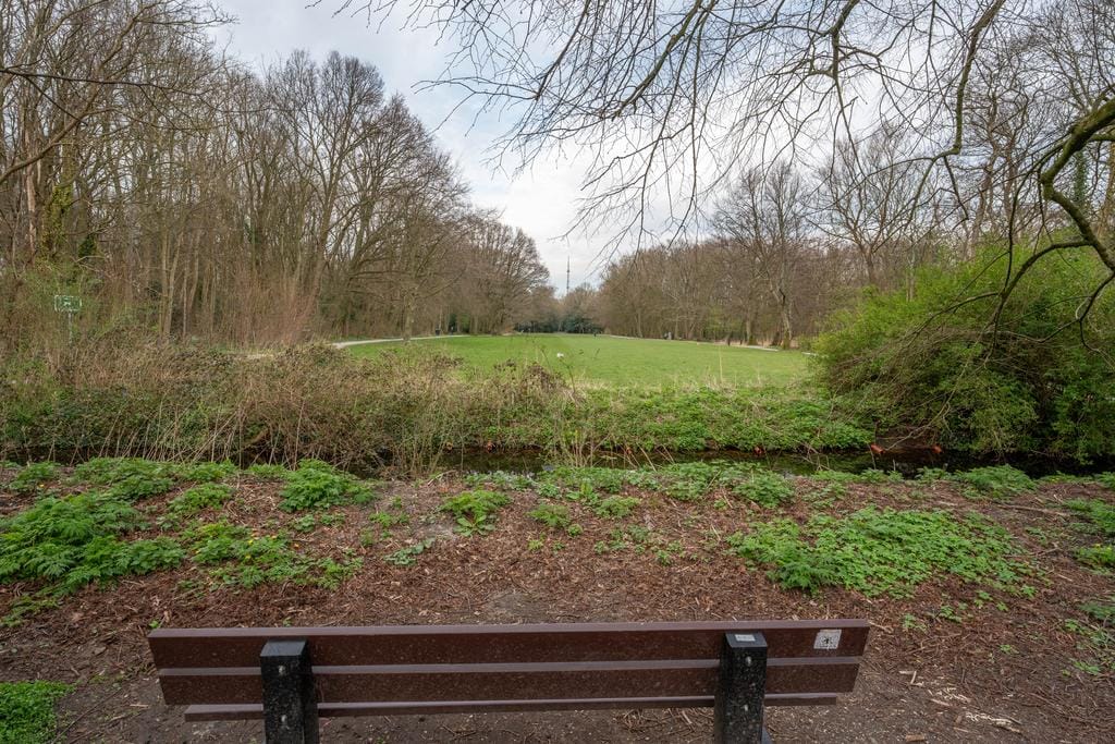 Photo 44 of Van Ledenberchstraat 8
