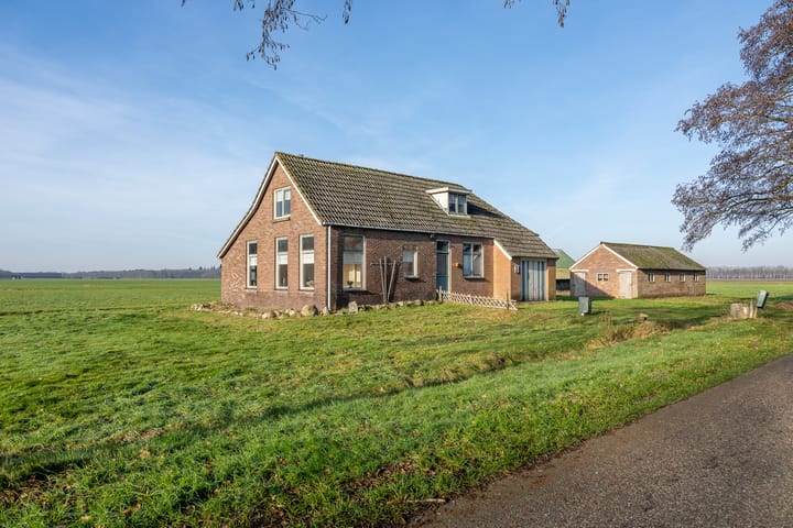 Foto 6 van Coehoorn 2