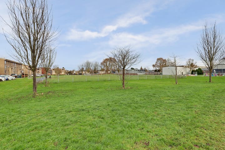 Foto 64 van Muntstraat 15