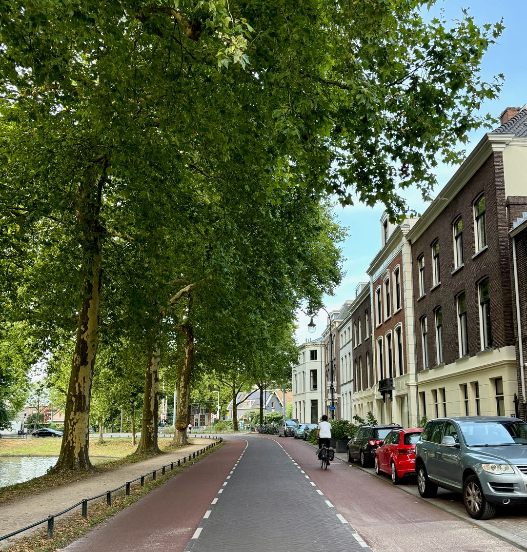 Foto 61 van Maliesingel 69