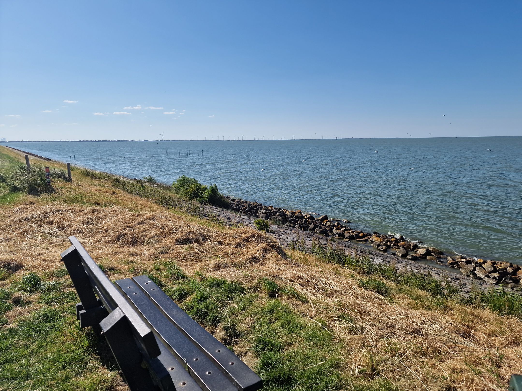 Photo 15 of Proefpolder 4-119