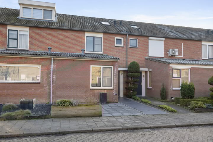 Photo 2 of Prunus 38