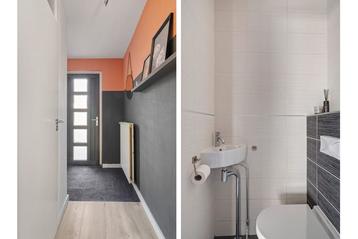 Photo 3 of Prunus 38