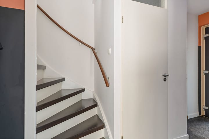 Photo 4 of Prunus 38